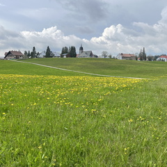 23-05-21 17-30-58 5544